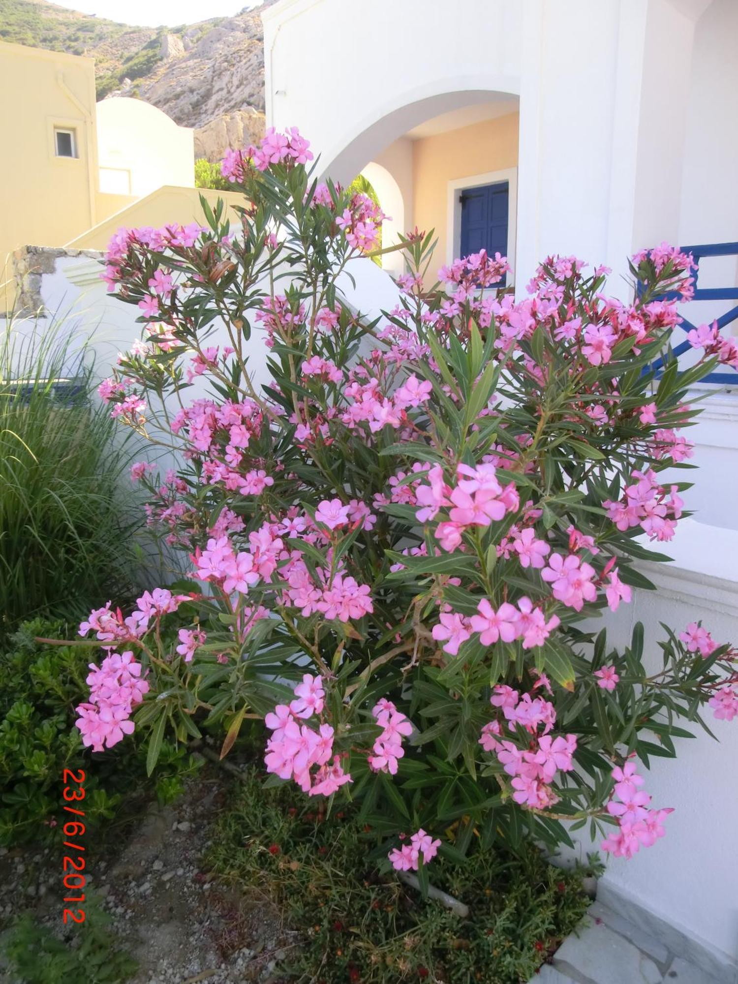 Aegean View Hotel Kamári Kültér fotó